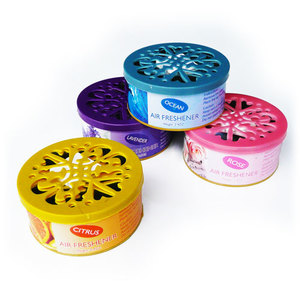                              Air Fresheners Canister Type (24 per case) - 50% Discount Sale
