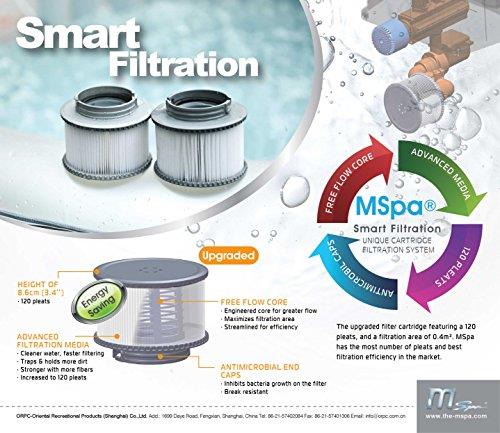 FC2P - MSpa Filter Cartridge 2 Pack - 30% Discount Sale
