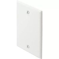 WPBSG -      Single Gang Blank Wall Plate (pack of 10)